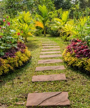 Stone pathway in garden