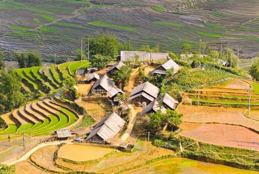 Sapa rice terraced fields, Vietnam