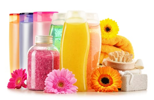 Composition with plastic bottles of body care and beauty products
