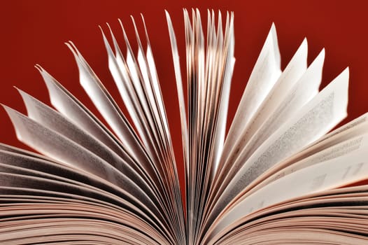 Composition with book on the table