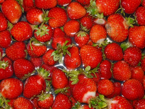 Strawberries Background