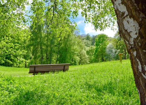 Park bench in nature