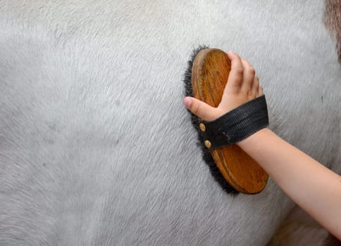 Horse bar