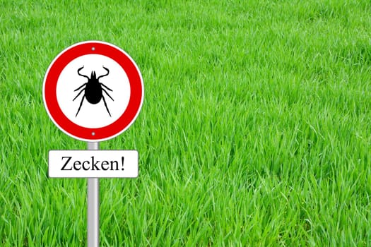 Ticks shield on the meadow