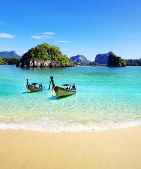 beautiful beach and tropical sea