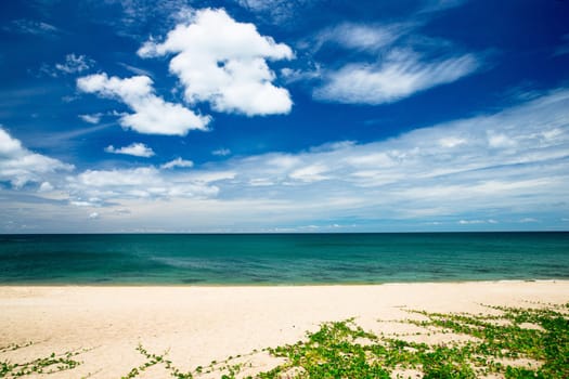 tropical sea under the blue sky