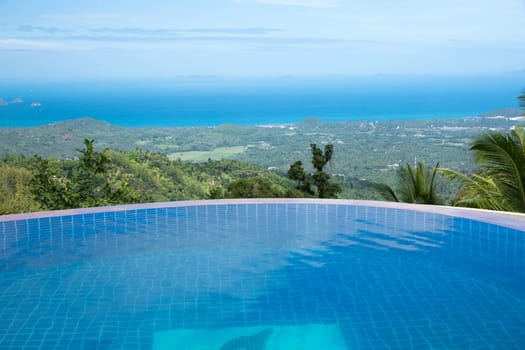tropical swimming pool with coconut tree