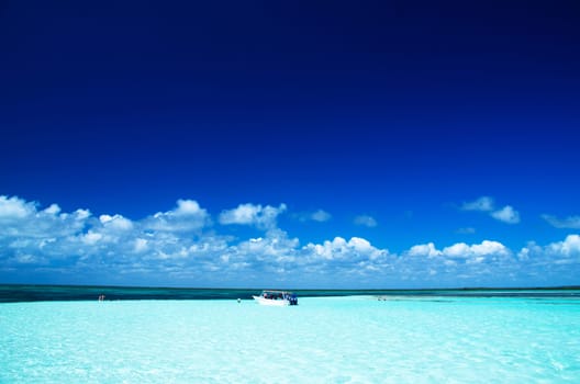 tropical sea under the blue sky