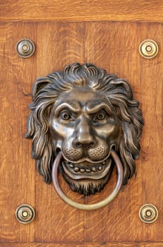 Close up view of a lion's head door knocker.