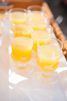 Closeup of glasses of orange juice in rows on serving tray at outdoor party in sunlight