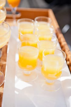 Closeup of glasses of orange juice in rows on serving tray at outdoor party in sunlight