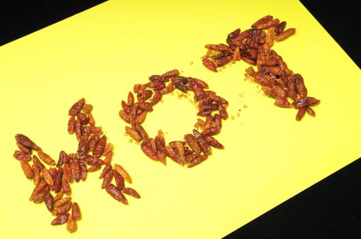 Some Very Hot Chili Peppers Ready to Cook
