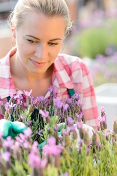 Garden center woman with purple plant flower