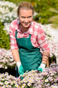 Garden center woman worker in daisy flowerbed smiling sunny