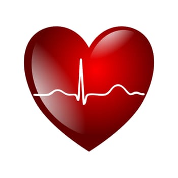 Heart ECG