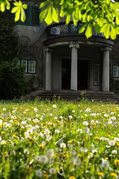 Wild garden of a villa