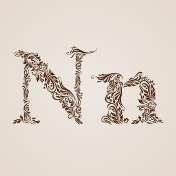 Handsomely decorated letter n in upper and lower case.