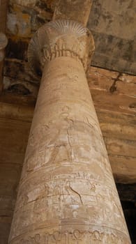 Egyptian column carving in Edfu temple, Egypt