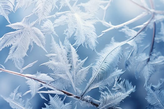 An exquisite display of artistry, capturing the intricate and mesmerizing patterns formed by frost on windows, leaves, and various surfaces through the lens of macro photography, resulting in striking and abstract visual compositions.