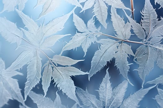 An exquisite display of artistry, capturing the intricate and mesmerizing patterns formed by frost on windows, leaves, and various surfaces through the lens of macro photography, resulting in striking and abstract visual compositions.