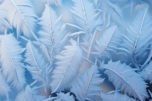 An exquisite display of artistry, capturing the intricate and mesmerizing patterns formed by frost on windows, leaves, and various surfaces through the lens of macro photography, resulting in striking and abstract visual compositions.