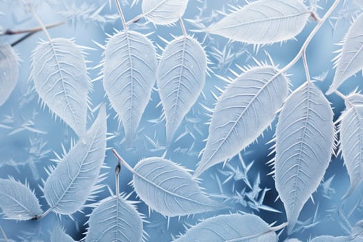 An exquisite display of artistry, capturing the intricate and mesmerizing patterns formed by frost on windows, leaves, and various surfaces through the lens of macro photography, resulting in striking and abstract visual compositions.