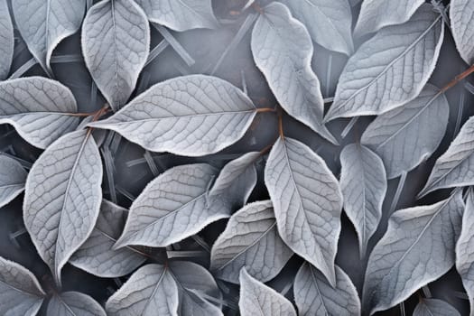 An exquisite display of artistry, capturing the intricate and mesmerizing patterns formed by frost on windows, leaves, and various surfaces through the lens of macro photography, resulting in striking and abstract visual compositions.