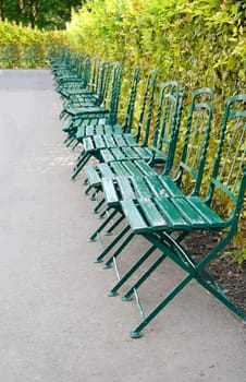 Green chairs in a line and various roses in Volksgarten, Vienna (Austria).