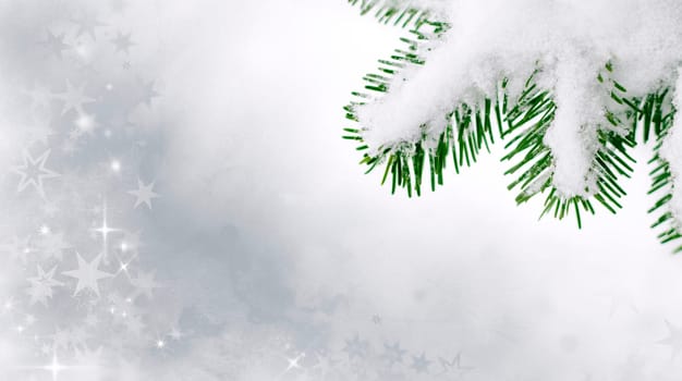 Christmas stars decoration tanning branch