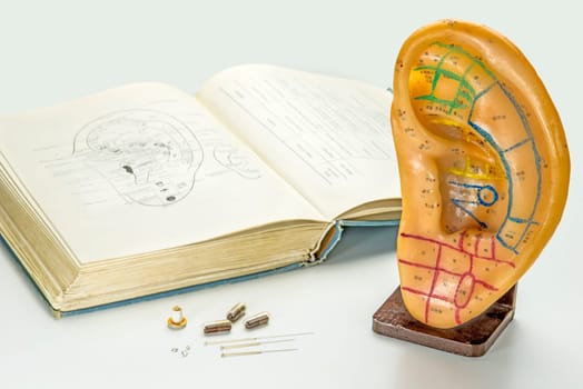 Ear model with textbook,acupuncture needles,moxa cones,herbal pills