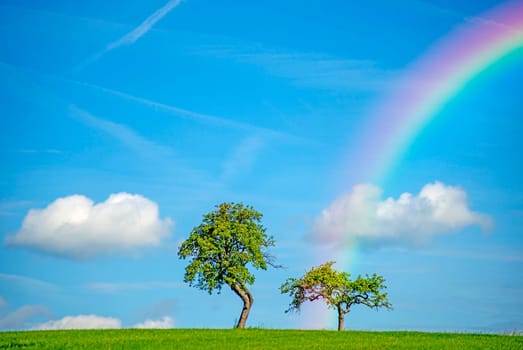 Fruit trees with rainbow