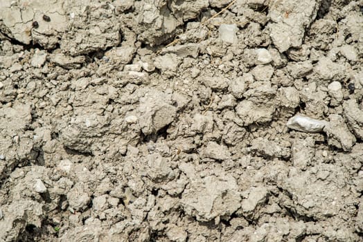 Drought on a field