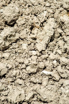 Drought on a field
