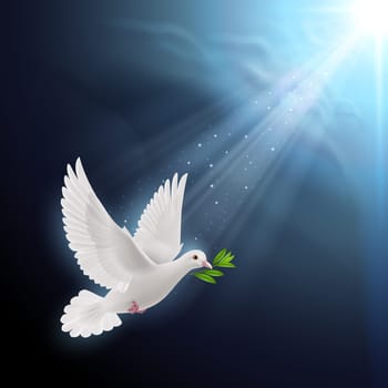 Dove of peace flying with a green twig after flood in sunlight