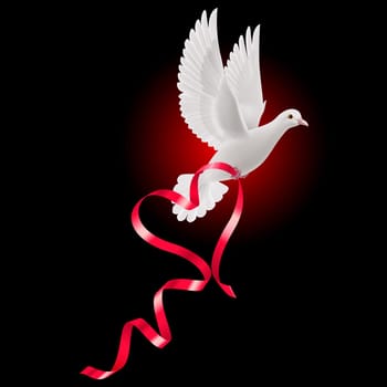 White dove with red ribbon on the black background