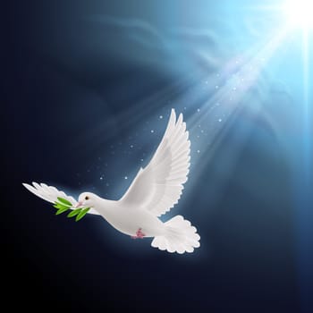 Dove of peace flying with a green twig after a flood