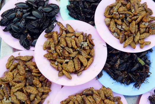 Insects at the market in Amnat Charoen in the Isan in eastern Thailand