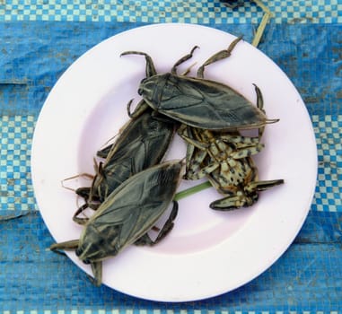 Insects at the market in Amnat Charoen in the Isan in eastern Thailand