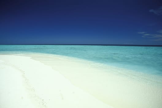 .The dream beach with palm trees and white sand on the island of Velavaru in the Southmale Atoll on the islands of the Maldives in the Indian Ocean.