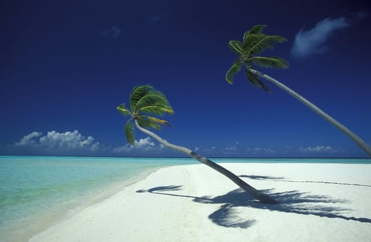 Asia,Indian Ocean,Maldives,. A dream beach on a holiday island of the Maldives archipelago in the Indian Ocean ...