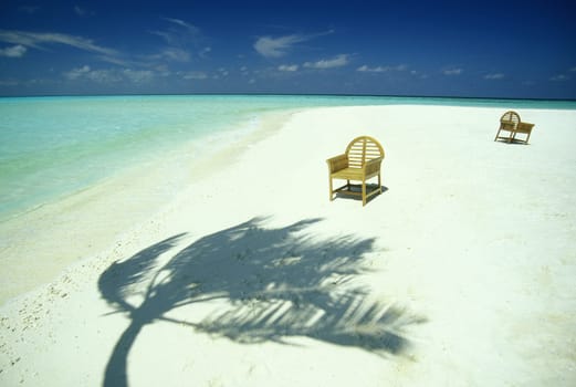 .The dream beach with palm trees and white sand on the island of Velavaru in the Southmale Atoll on the islands of the Maldives in the Indian Ocean.
