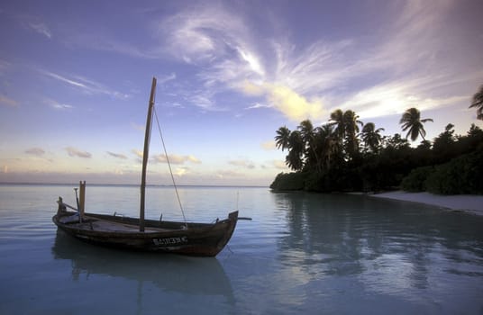.The dream beach with palm trees and white sand on the island of Velavaru in the Southmale Atoll on the islands of the Maldives in the Indian Ocean.