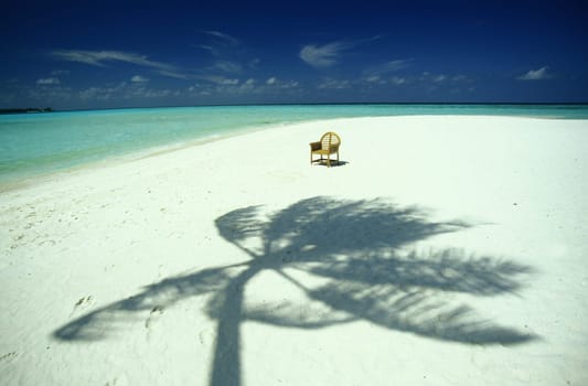 .The dream beach with palm trees and white sand on the island of Velavaru in the Southmale Atoll on the islands of the Maldives in the Indian Ocean.
