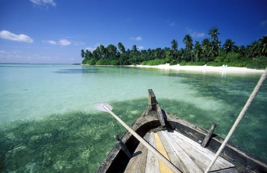 .The dream beach with palm trees and white sand on the island of Velavaru in the Southmale Atoll on the islands of the Maldives in the Indian Ocean.