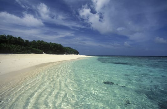 .The dream beach with palm trees and white sand on the island of Velavaru in the Southmale Atoll on the islands of the Maldives in the Indian Ocean.
