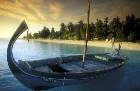 Asia,Indian Ocean,Maldives,. A dream beach on a holiday island of the Maldives archipelago in the Indian Ocean ...