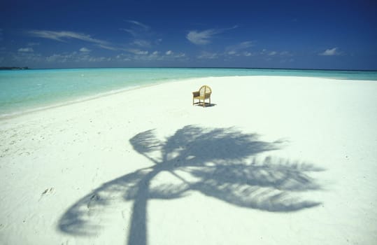 A dream beach on a tourist island in the Maldives in the Indian Ocean.