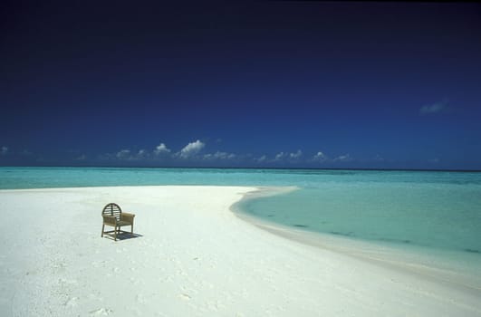 .The dream beach with palm trees and white sand on the island of Velavaru in the Southmale Atoll on the islands of the Maldives in the Indian Ocean.