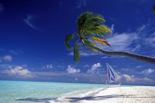 A dream beach on an island in the Maldives in the Indian Ocean.