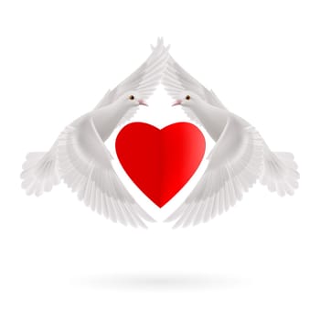 Red heart between two white  flying doves